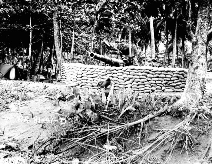 Gun Gene W. of Battery B, 51st Coast Artillery under the direction of 1st Lt. Noel Iverson, is ready for action near Punta Salinas, Puerto Rico. November 1941.  SC 126172